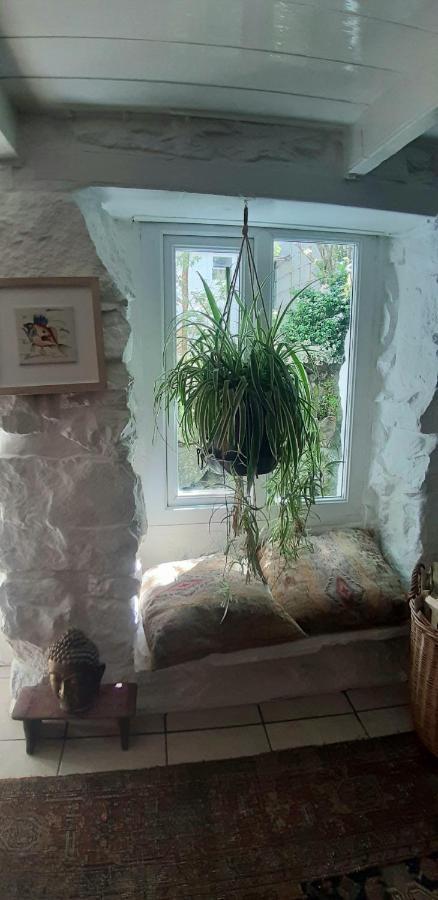Cozy Carbence Cottage Carbis Bay Extérieur photo